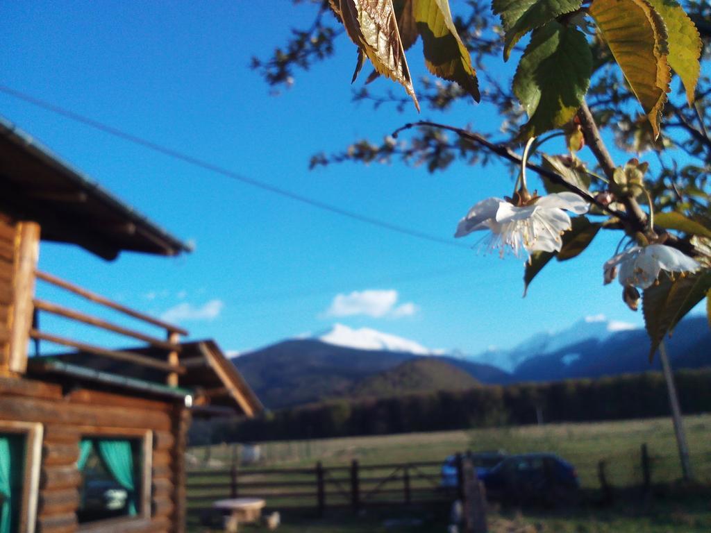 Casa Muntelui - Sambata Hostal Sîmbăta de Sus Exterior foto