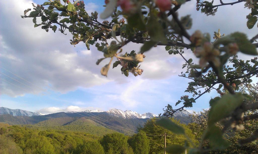 Casa Muntelui - Sambata Hostal Sîmbăta de Sus Exterior foto